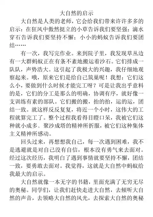 大自然的启示