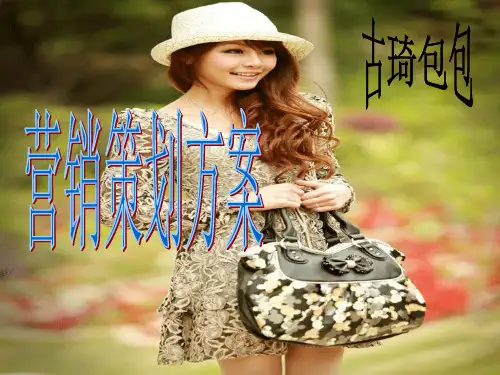 古琦营销策划方案