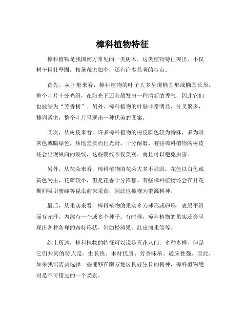 樟科植物特征