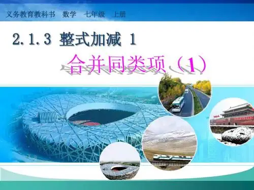 2.2.1整式的加减(合并同类项)