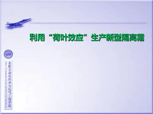 荷叶效应仿生材料