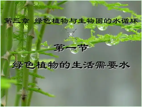 绿色植物的生活需要水_和水分进入植物体
