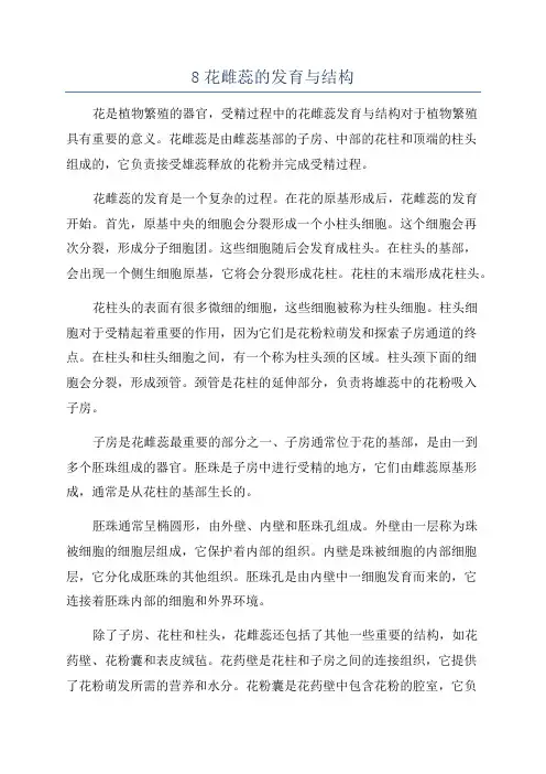 8花雌蕊的发育与结构