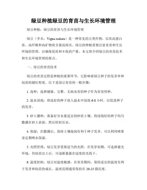 绿豆种植绿豆的育苗与生长环境管理