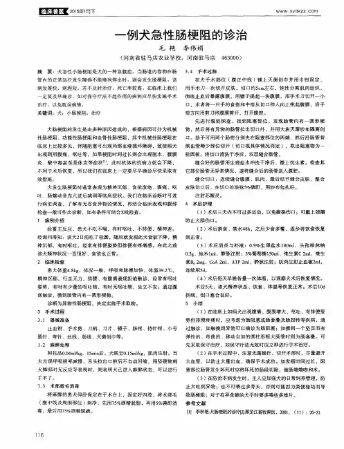 一例犬急性肠梗阻的诊治