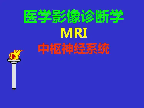 医学影像学颅脑PPT课件