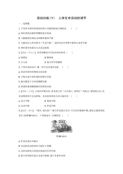 华东师大版科学八年级下册周周测练习(十) 第七章 生命活动的调节 ——人体生命活动的调节