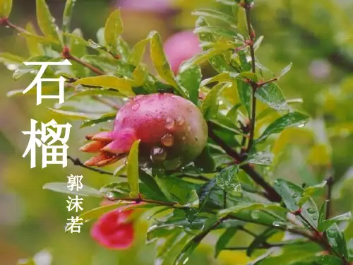 外国诗歌散文欣赏课件第三单元-石榴