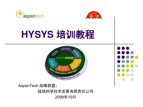 HYSYS培训教程-9-HYSYS报告