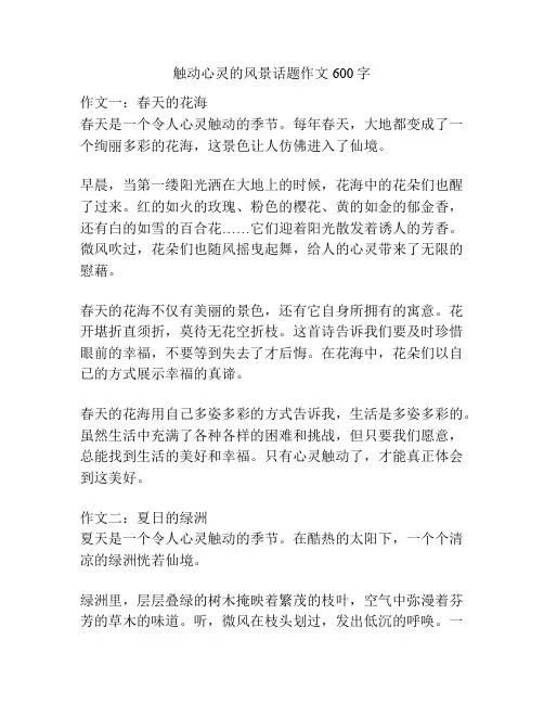 触动心灵的风景话题作文600字