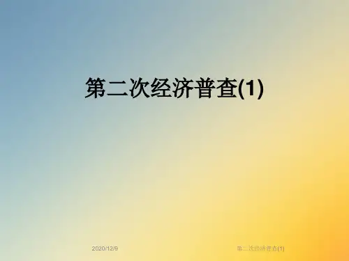 第二次经济普查(1)