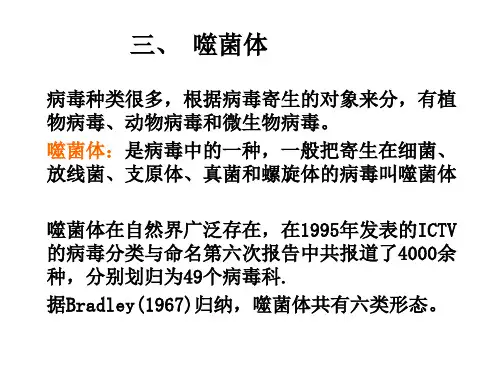第四章 噬菌体