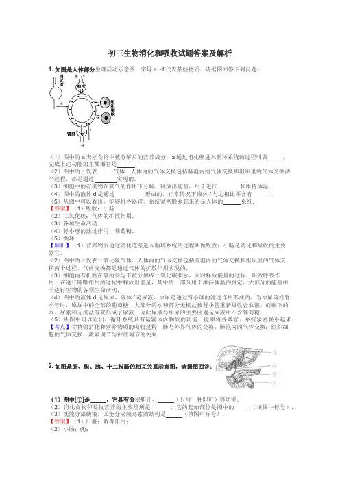 初三生物消化和吸收试题答案及解析

