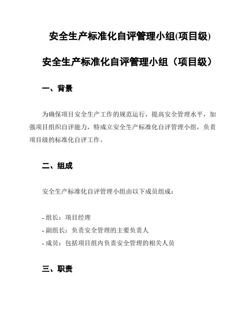 安全生产标准化自评管理小组(项目级)