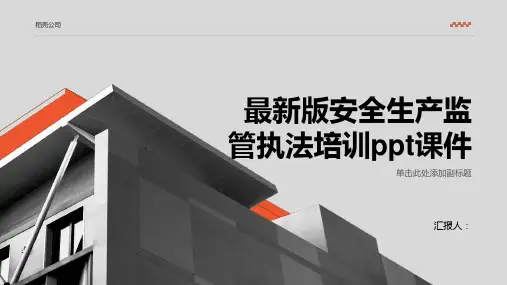 2023最新版安全生产监管执法标准培训ppt优质教案