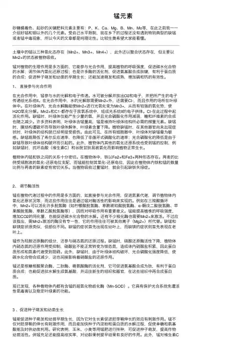 锰元素——精选推荐