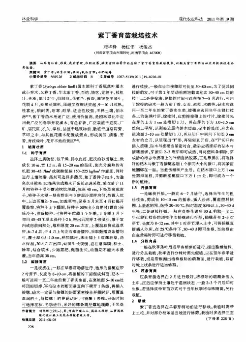 紫丁香育苗栽培技术