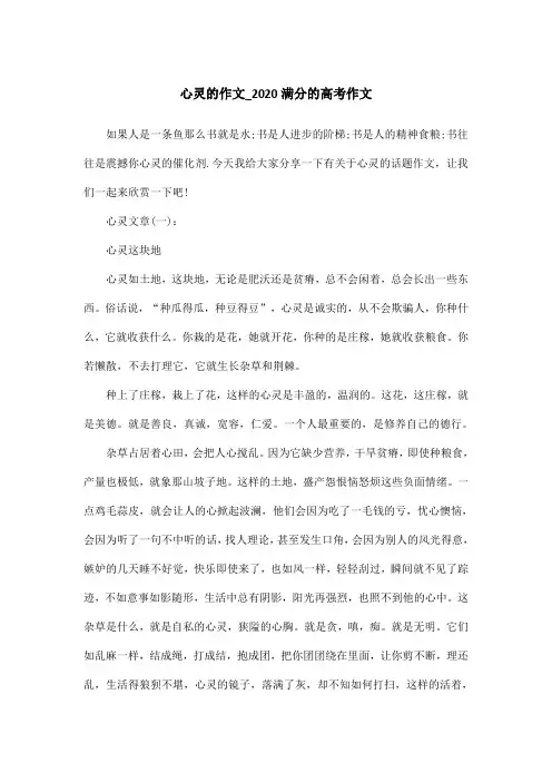 心灵的作文_2020满分的高考作文