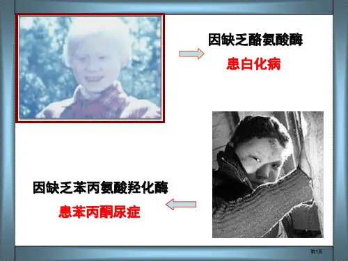 生物必修一酶公开课一等奖优质课大赛微课获奖课件