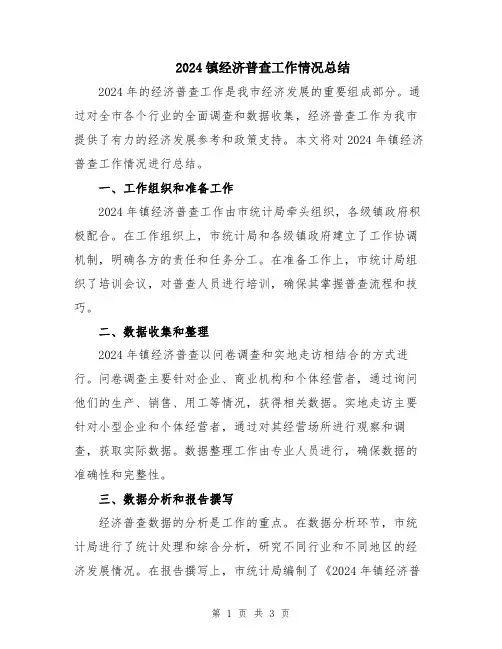 2024镇经济普查工作情况总结