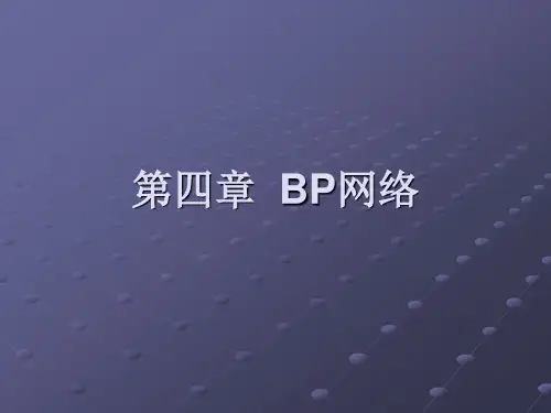 标准BP算法及改进的BP算法标准BP算法及改进的BP算法应用(1)