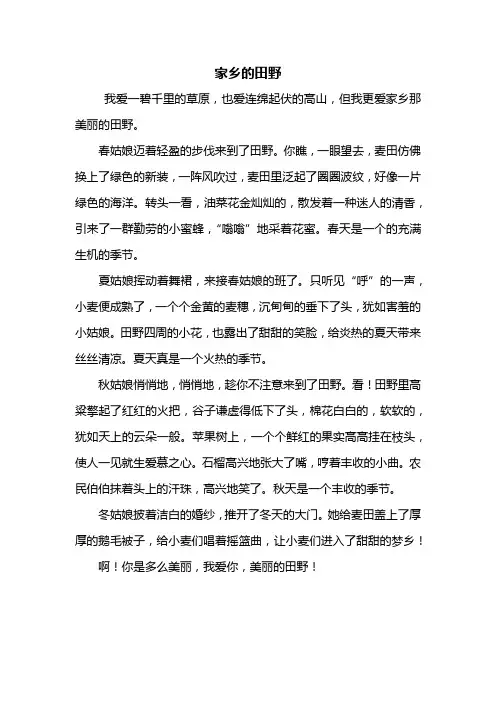 五年级作文：家乡的田野作文500字_5