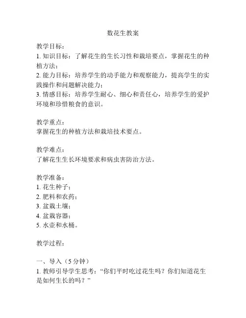 数花生教案