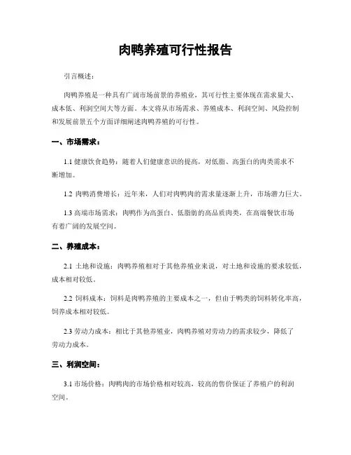 肉鸭养殖可行性报告