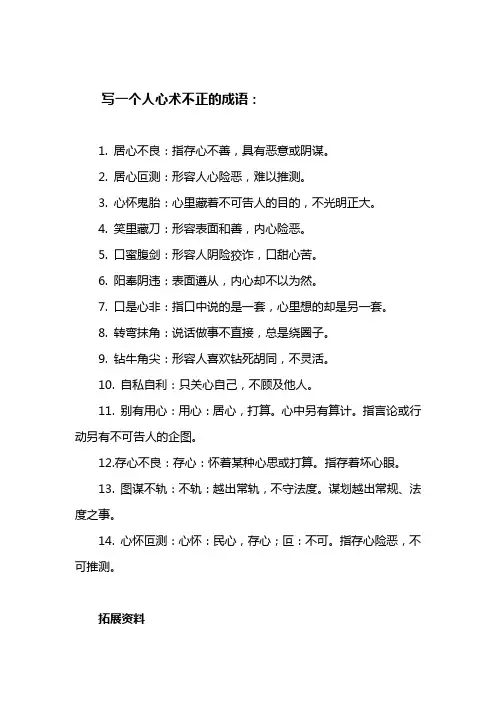 写心术不正的成语