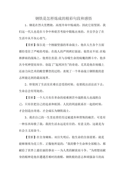 钢铁是怎样炼成的精彩句段和感悟