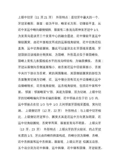 上颌中切牙