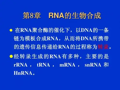 8 RNA的生物合成2010-9