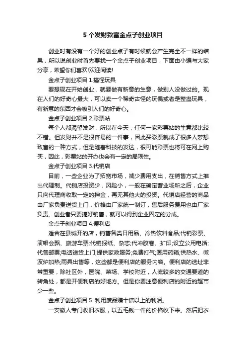5个发财致富金点子创业项目