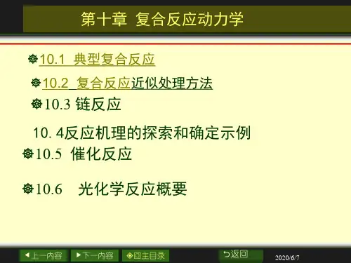 10章复合动力学