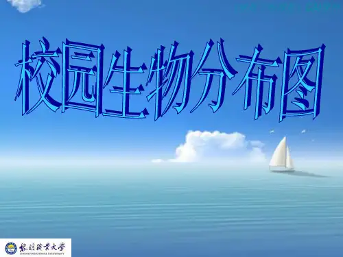 教科版小学科学六年级上册《校园生物分布图》课件ppt