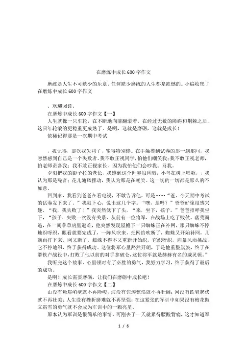 在磨炼中成长600字作文