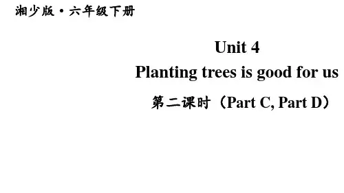 湘少版(三起)英语六年级下册Unit 4  (Part C,Part D)课件