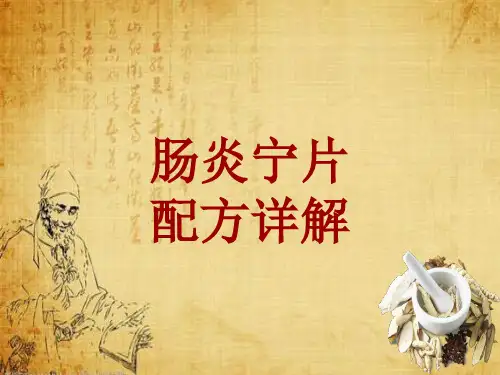 中成药配方详解：肠炎宁片