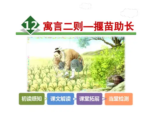 二年级下册语文课件12.寓言二则—揠苗助长_人教(部编版)() (共38张PPT)