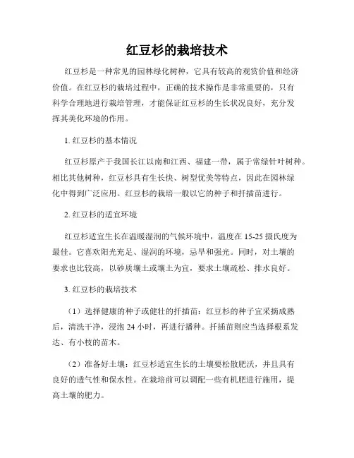 红豆杉的栽培技术