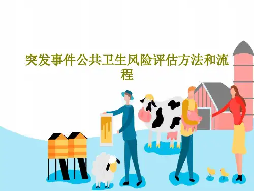 突发事件公共卫生风险评估方法和流程共82页文档