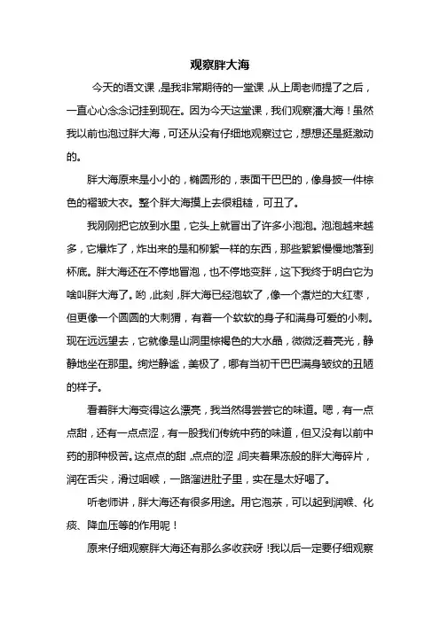 四年级作文：观察胖大海作文500字