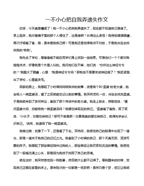 一不小心把自我弄遗失作文