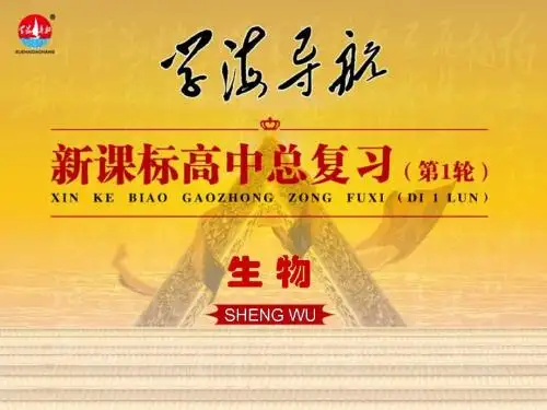 2014版学海导航-新课标高中生物总复习(第1轮)配套课件 必修3 第11讲 生态系统的能量流动和物质循环