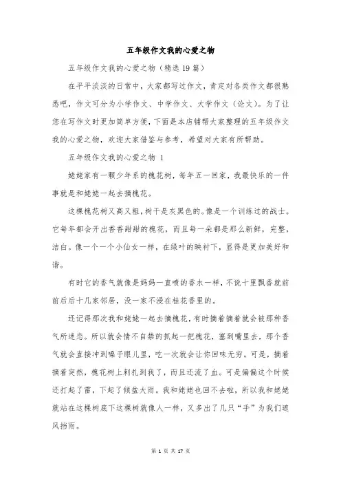 五年级作文我的心爱之物