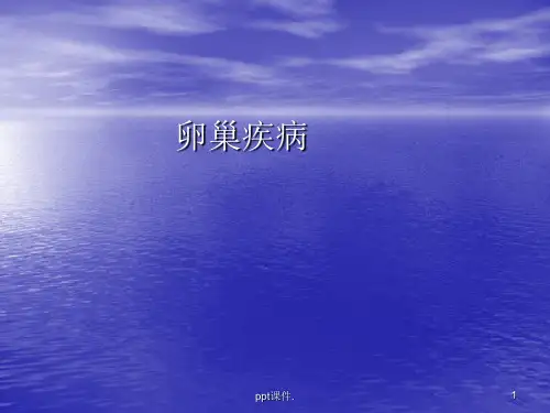 卵巢ppt课件