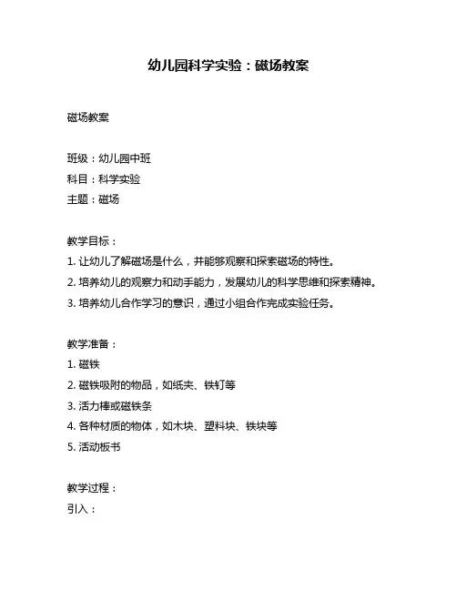 幼儿园科学实验：磁场教案
