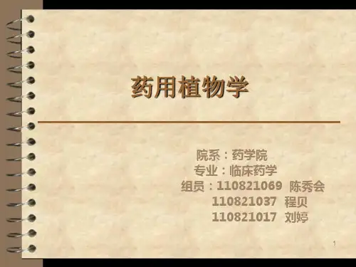 药用植物学PPT演示课件