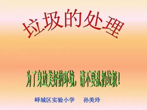 垃圾的处理ppt (1)