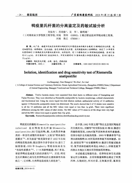 鸭疫里氏杆菌的分离鉴定及药敏试验分析